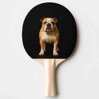 Raquete De Ping Pong Black 4 Luxe ping pong paddle, Stamina Bulldog