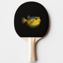 Raquete de ping pong Black 4 Luxe, Putterfish Amar