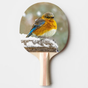 Raquete De Ping Pong Bluebird oriental na neve - Foto original