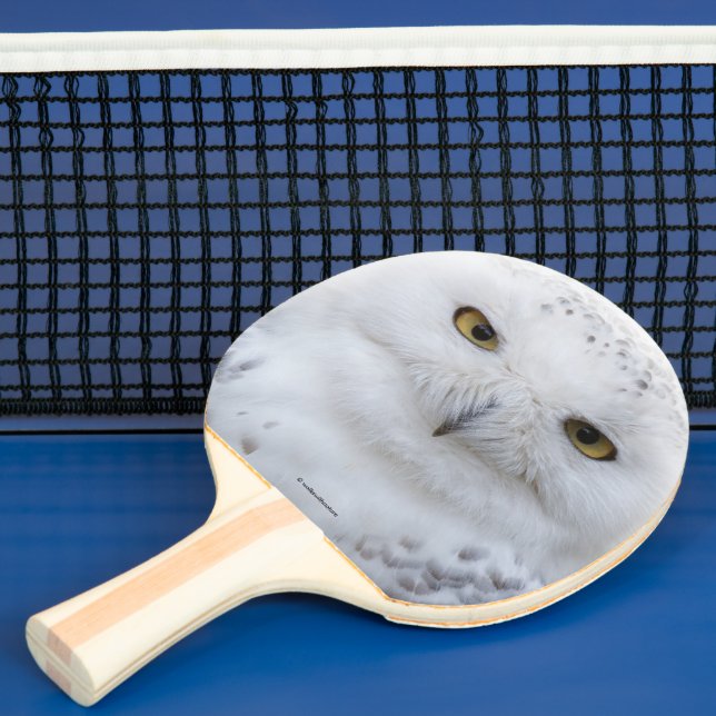 Raquete De Ping Pong Bonita, Dreamy e Serene Snowy Owl (Insitu)