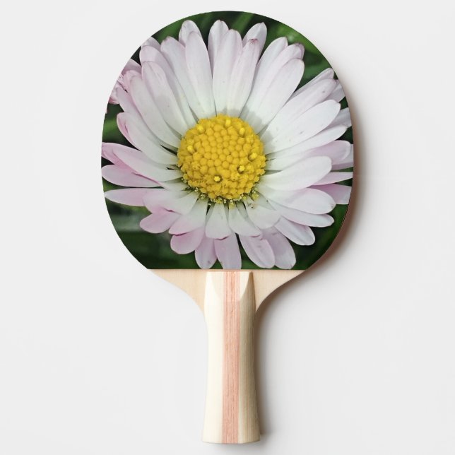 Raquete De Ping Pong Bonito margarida (Frente)