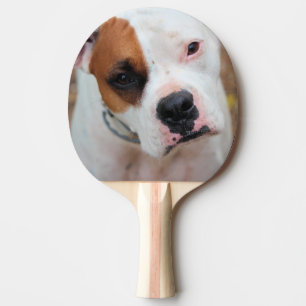 Raquete De Ping Pong Boop