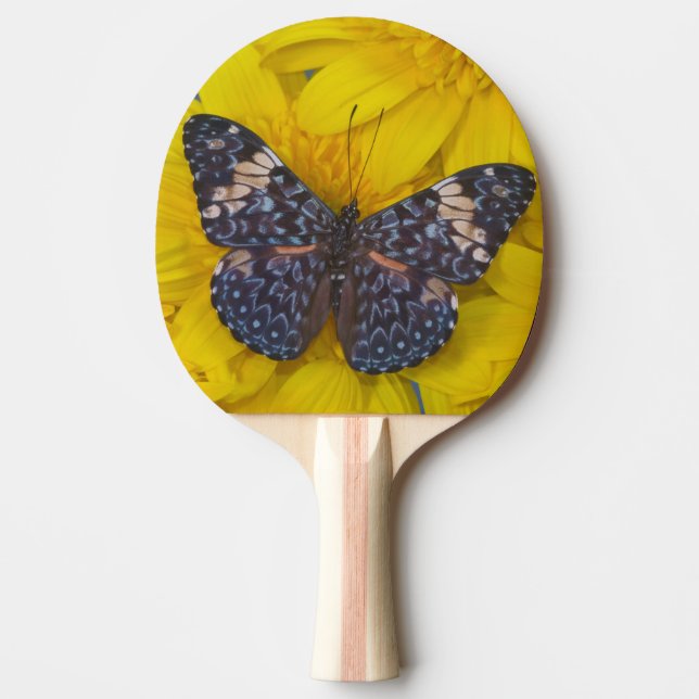 Raquete De Ping Pong Borboleta em uma Flor Amarela (Frente)