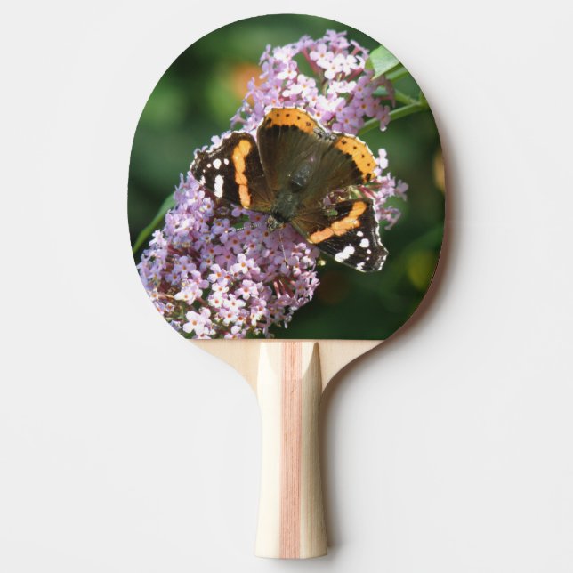Raquete De Ping Pong Borboleta Vermelha e Buddleia Ping Pong (Frente)
