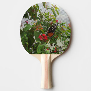 RAQUETE DE PING PONG BOTÃO LARANJA