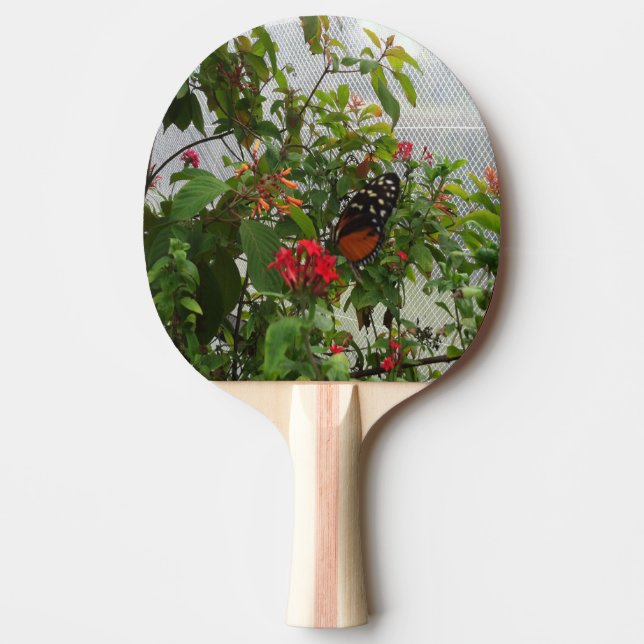 RAQUETE DE PING PONG BOTÃO LARANJA (Frente)
