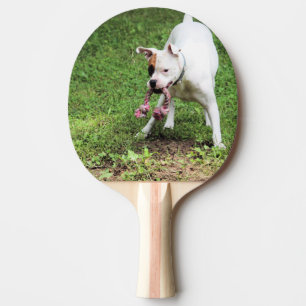 Raquete De Ping Pong Boxer