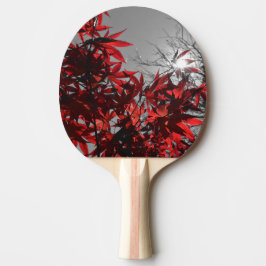 Raquete De Ping Pong Brasas de Outono