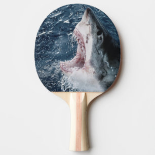 Raquete De Ping Pong Cabeça do Tubarão Branco