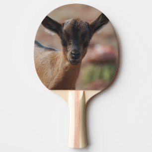 Raquete De Ping Pong Cabra