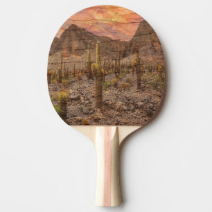 Raquete De Ping Pong Cacto Organ Pipe em Foto do Pôr do Sol com Textura