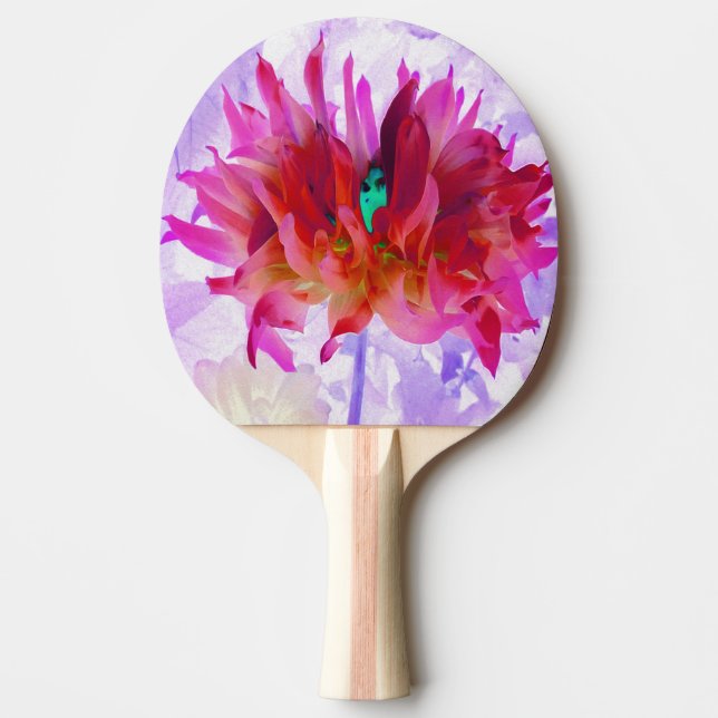Raquete De Ping Pong Cactus Dahlia Vermelho e Rosa Quente (Frente)