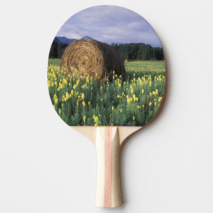 Raquete De Ping Pong Canadá, Colúmbia Britânica, Kitwanga. Amarelo