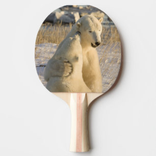 Raquete De Ping Pong Canadá, Manitoba, Baía de Hudson, Churchill.