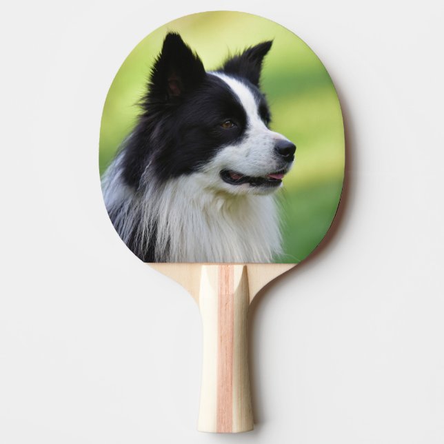 Raquete De Ping Pong Cão Border Collie Preto e Branco (Frente)