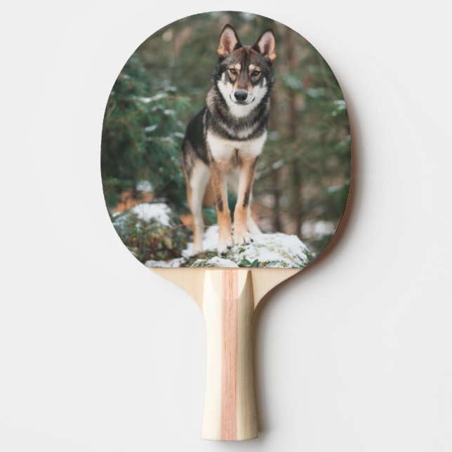 Raquete De Ping Pong Cão-lobo (Frente)