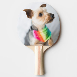 Raquete De Ping Pong Cão Orgulho gay  Yorkshire Terrier