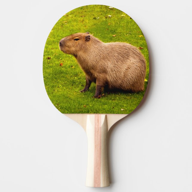 Raquete De Ping Pong Capivara (Frente)