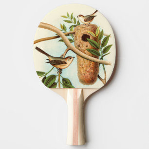 Raquete De Ping Pong Casal de pássaro em um ninho preso em uma ramific