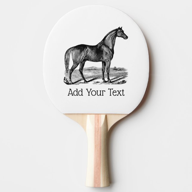 Raquete De Ping Pong Cavalo Antigo em Pé (Frente)