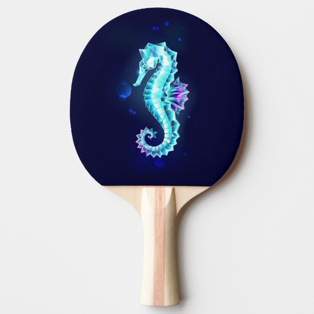 Raquete De Ping Pong Cavalo de Gelo Cristal em Fundo Azul (Frente)