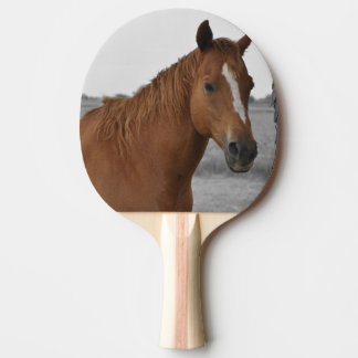 Raquete De Ping Pong Cavalo Marrom, Paddle de Ping Pong de Fundo Preto