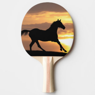 Raquete De Ping Pong Cavalo no por do sol