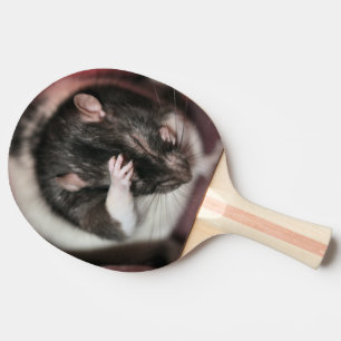 Raquete De Ping Pong Cefaleias