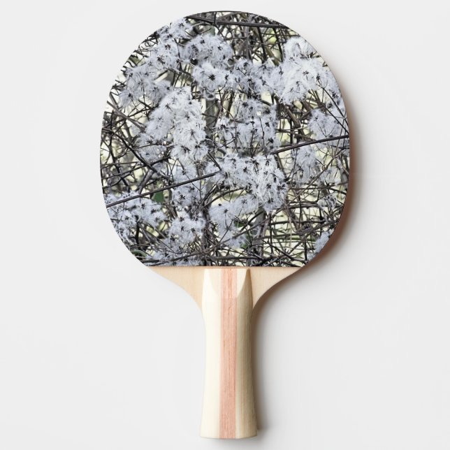RAQUETE DE PING PONG CLEMATIS SELVAGEM    (Frente)