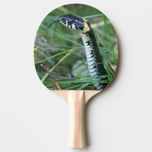 Raquete De Ping Pong Cobra
