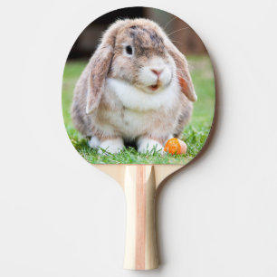 Raquete De Ping Pong Coelho-de-orelha-branca