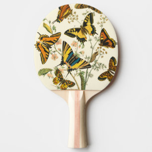 Raquete De Ping Pong Coloração das Borboletas e das lagartas
