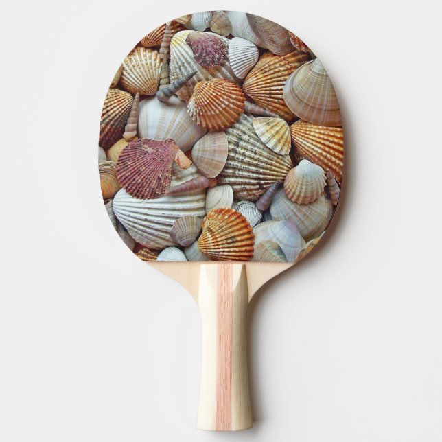 Raquete De Ping Pong Conchas do Mar (Frente)