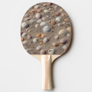 Raquete De Ping Pong Conchas marítimas na praia