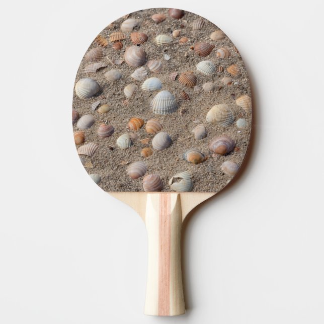 Raquete De Ping Pong Conchas marítimas na praia (Verso)