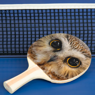 Raquete De Ping Pong Coruja Branca De Norte Vi