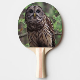 Raquete De Ping Pong Coruja-listrada