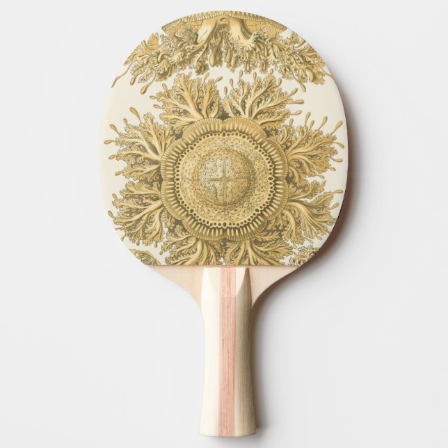 Raquete De Ping Pong Criaturas do Mar do ouro (Frente)