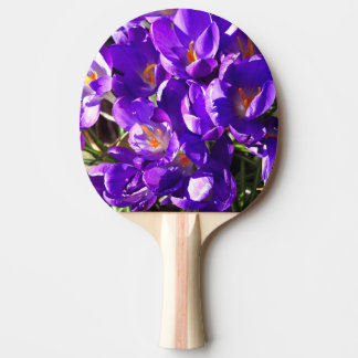 RAQUETE DE PING PONG CROCOS DA PRIMAVERA