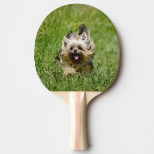 Raquete De Ping Pong Cute Yorkshire Terrier passando por Grass
