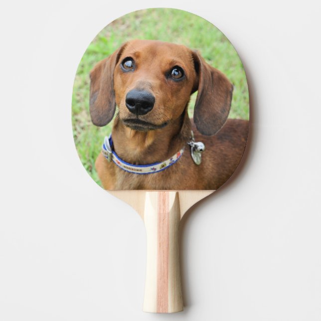 Raquete De Ping Pong Dachshund (Frente)