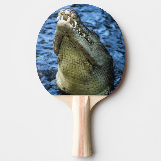 Raquete De Ping Pong Dentes De Crocodilo Água (Frente)
