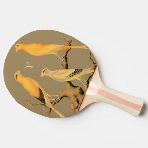 Raquete de Ping Pong – Design Yorkshire Canaries