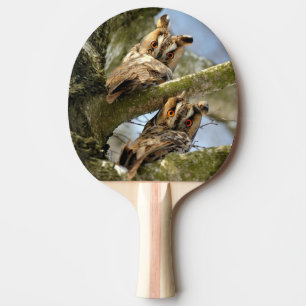 Raquete De Ping Pong Duas Corujas nos Bosques, aves, Ping Pong da Vida