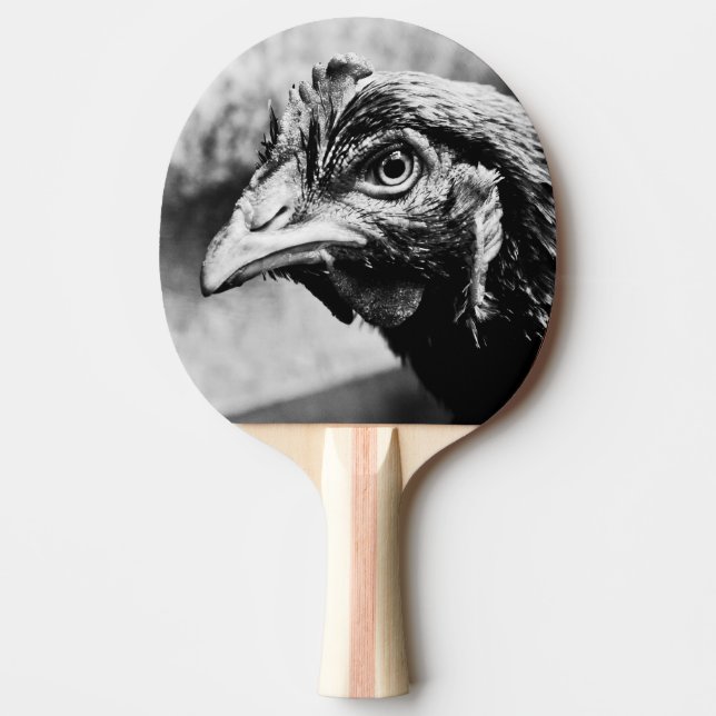 Raquete De Ping Pong espíritos e galinhas (Frente)