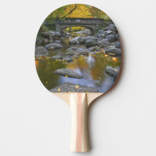 Raquete De Ping Pong EUA, Oregon, Ashland, Parque Lithia. Outono