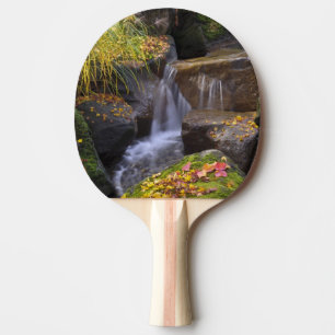 Raquete De Ping Pong EUA, Washington, Seattle