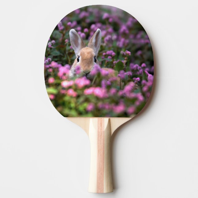 Raquete De Ping Pong Fazenda de coelhos (Frente)