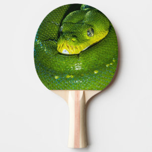 Raquete De Ping Pong Feliz Aniversário Cobra