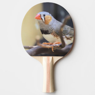 Raquete De Ping Pong Finch
